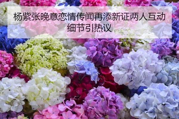 杨紫张晚意恋情传闻再添新证两人互动细节引热议